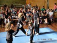 /album/mse-sommerfest-mit-scharpenverleihung/dscf3144-jpg/