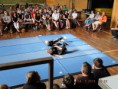 /album/mse-sommerfest-mit-scharpenverleihung/dscf3151-jpg/