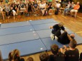 /album/mse-sommerfest-mit-scharpenverleihung/dscf3246-jpg/