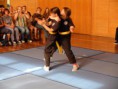 /album/mse-sommerfest-2017/dscf3515-jpg/